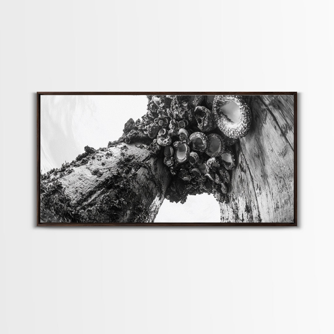 Coastal Texture, Tidepool Abstract, Modern Ocean Nature, Framed Canvas Print, Bathroom Wall Art, Marine Minimalist Photography