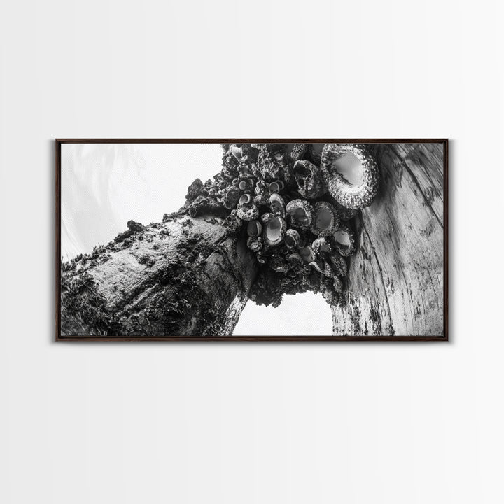 Coastal Texture, Tidepool Abstract, Modern Ocean Nature, Framed Canvas Print, Bathroom Wall Art, Marine Minimalist Photography