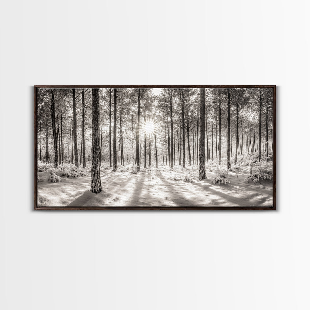 Winter Pine Forest, Sunlight Snow Trees, Nature Landscape Photography, Framed Canvas Print, Cabin Decor, Minimalist Wall Art