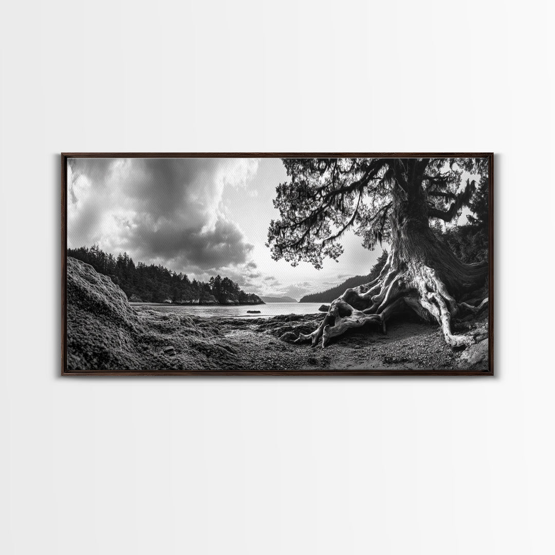 Coastal Tree Roots, Ancient Forest Shore, Pacific Northwest Nature, Moody Black and White Canvas Print, Cabin Wall Art, Woodland Style