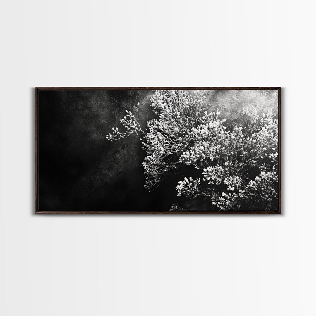 Botanical Texture, Nature Closeup Art, Modern Organic Aesthetic, Framed Canvas Print, Bedroom Wall Art, Neutral Boho Wall Decor