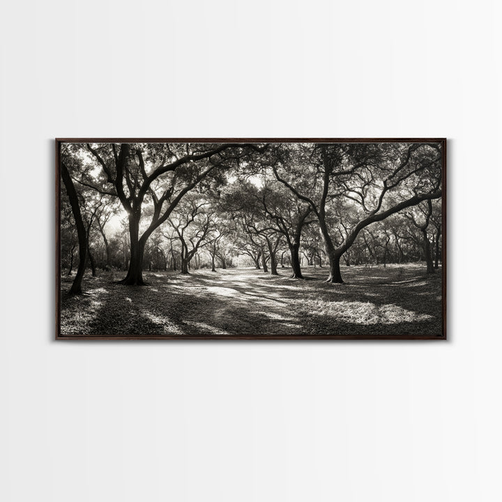 Oak Tree Path, Autumn Forest Glow, Nature Trail Photography, Framed Canvas Print, Hallway Wall Art, Earthy Decor, Woodland Art
