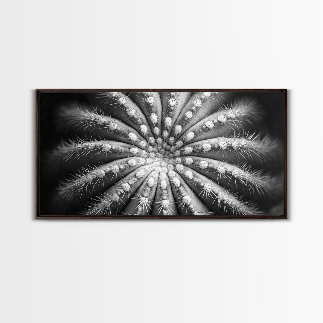 Cactus Spiral, Desert Bloom, Nature Closeup, Modern Decor, Framed Canvas Print, Minimalist Botanical Art, Office Wall Art, Succulent Texture