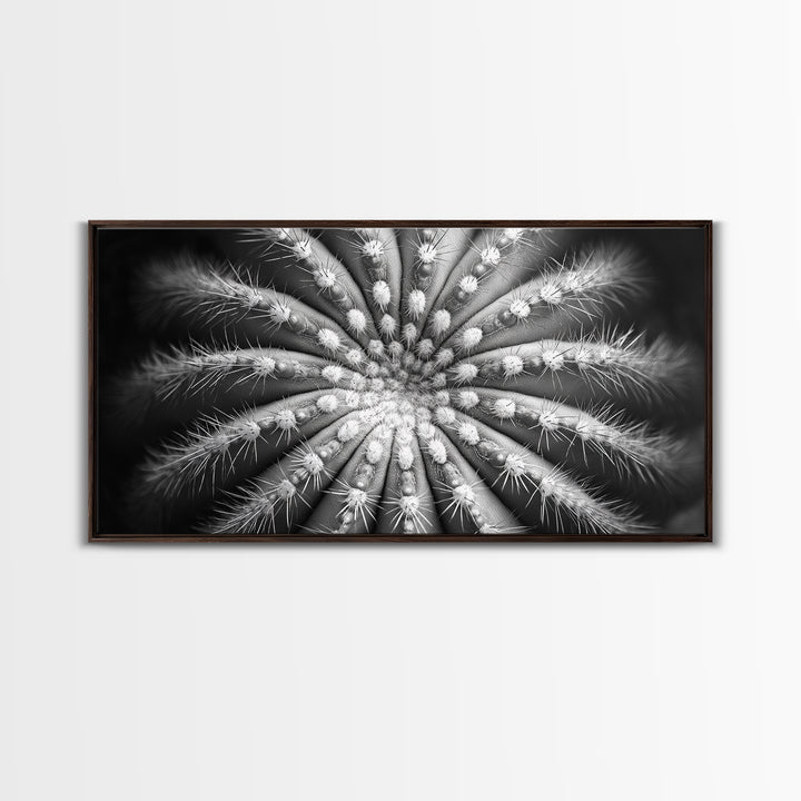 Cactus Spiral, Desert Bloom, Nature Closeup, Modern Decor, Framed Canvas Print, Minimalist Botanical Art, Office Wall Art, Succulent Texture