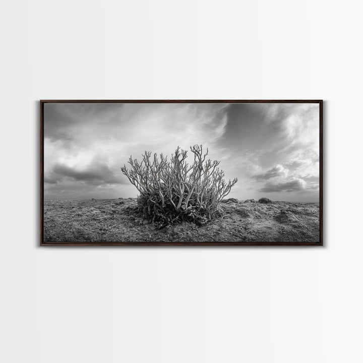 Desert Coral Plant, Dry Earth Botanical, Surreal Nature Texture, Minimal Wild Scene, Canvas Print, Office Wall Art, Earthy Decor