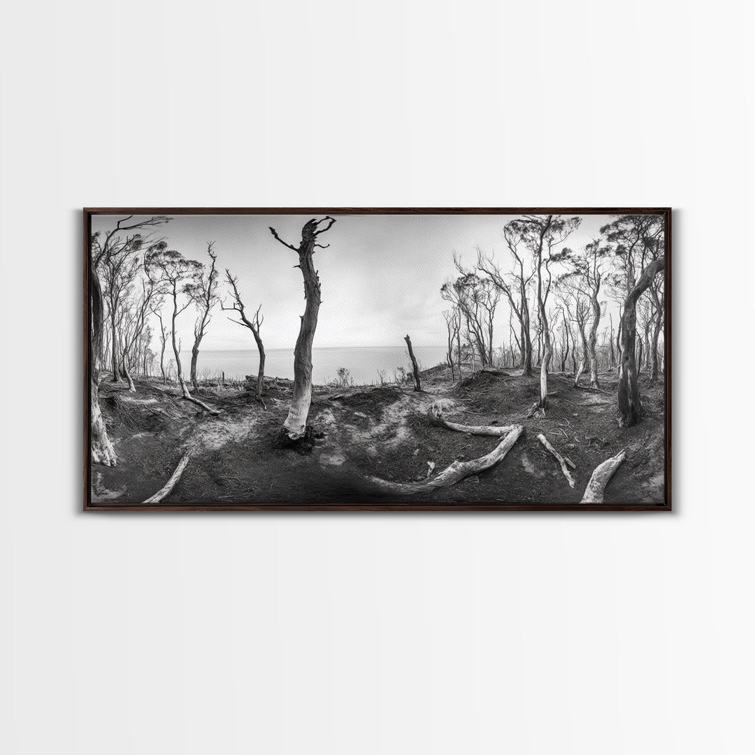 Burnt Forest, Moody Trees, Coastal Landscape, Nature Scene, Framed Canvas Print, Rustic Wall Art, Boho Decor, Fall Home Aesthetic