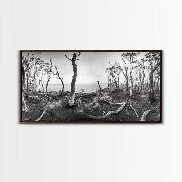 Burnt Forest, Moody Trees, Coastal Landscape, Nature Scene, Framed Canvas Print, Rustic Wall Art, Boho Decor, Fall Home Aesthetic