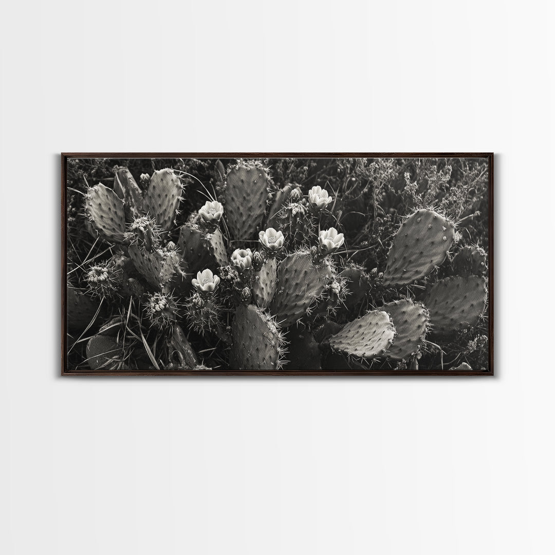Cactus Blooms, Desert Flowers, Prickly Pear, Nature Closeup, Framed Canvas Print, Southwestern Art, Kitchen Wall Art, Boho Style