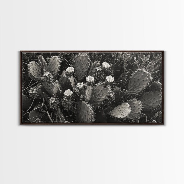 Cactus Blooms, Desert Flowers, Prickly Pear, Nature Closeup, Framed Canvas Print, Southwestern Art, Kitchen Wall Art, Boho Style