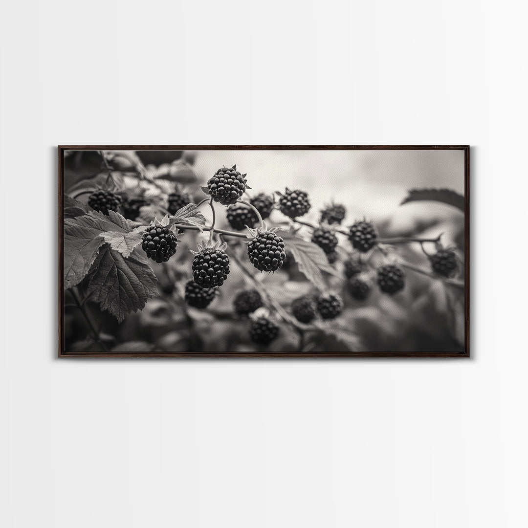 Blackberries on Vine, Farmhouse Kitchen Art, Rustic Fruit Wall Decor, Country Style, Autumn Botanical Photography, Canvas Print
