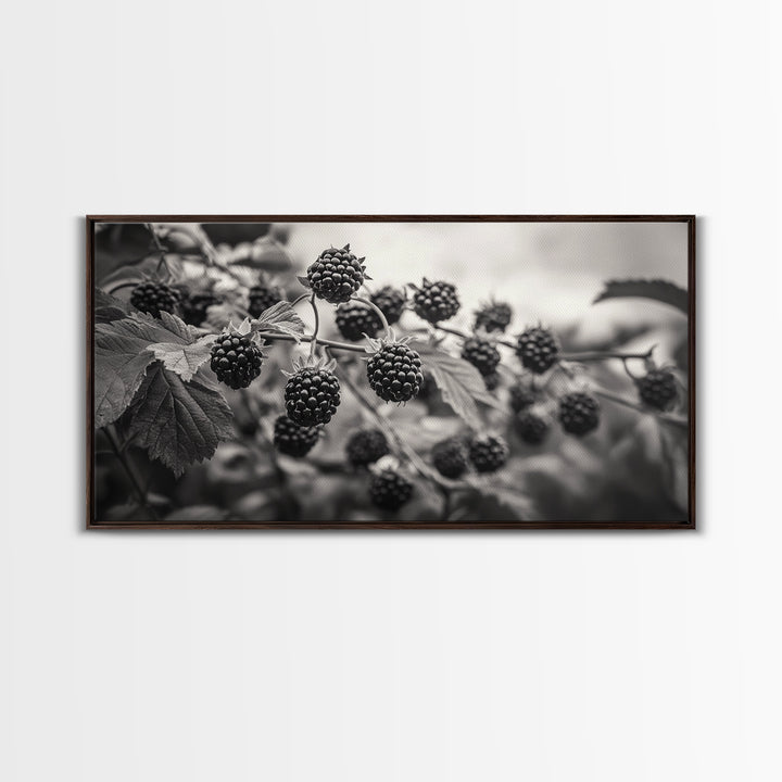 Blackberries on Vine, Farmhouse Kitchen Art, Rustic Fruit Wall Decor, Country Style, Autumn Botanical Photography, Canvas Print