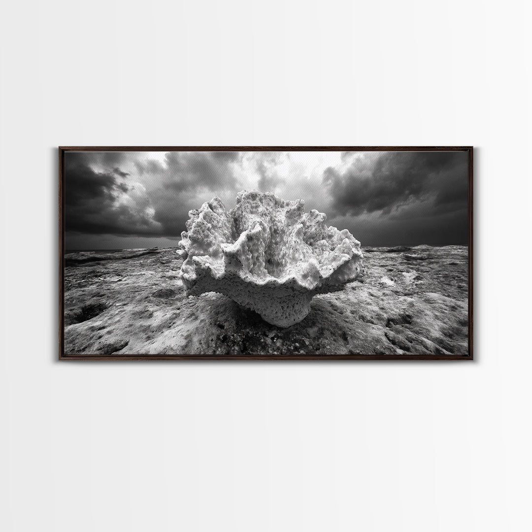 Coral Texture, Ocean Storm, Dramatic Sky, Sea Fossil, Framed Canvas Print, Coastal Nature Art, Fall Entryway Wall Decor, Cabin Wall Art