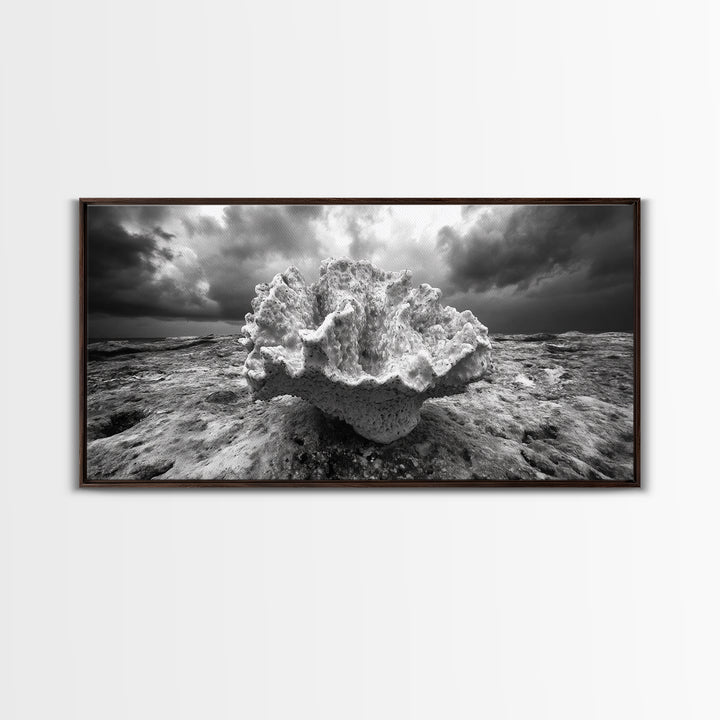 Coral Texture, Ocean Storm, Dramatic Sky, Sea Fossil, Framed Canvas Print, Coastal Nature Art, Fall Entryway Wall Decor, Cabin Wall Art