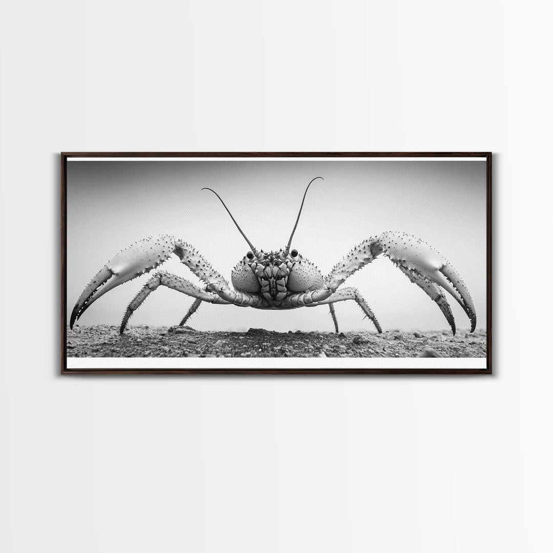 Crab Art, Beach Creature, Monochrome Photography, Nature Close-Up, Framed Canvas Print, Coastal Bathroom Art, Marine Home Style