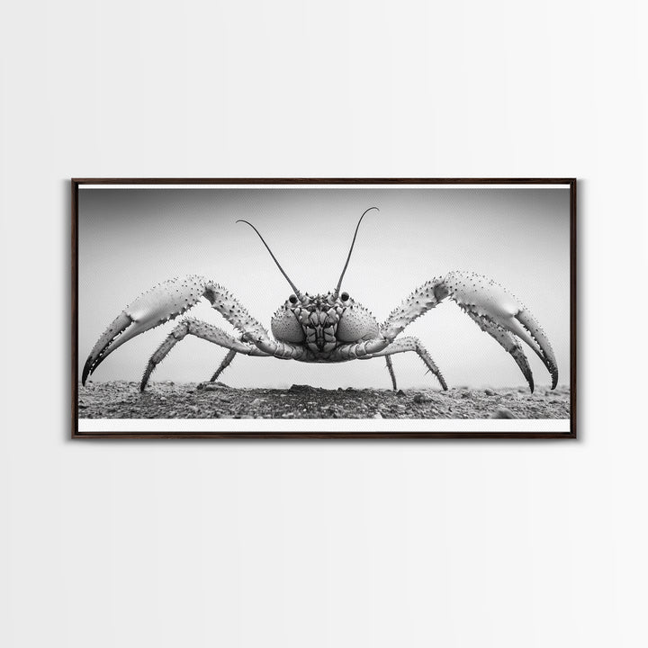 Crab Art, Beach Creature, Monochrome Photography, Nature Close-Up, Framed Canvas Print, Coastal Bathroom Art, Marine Home Style