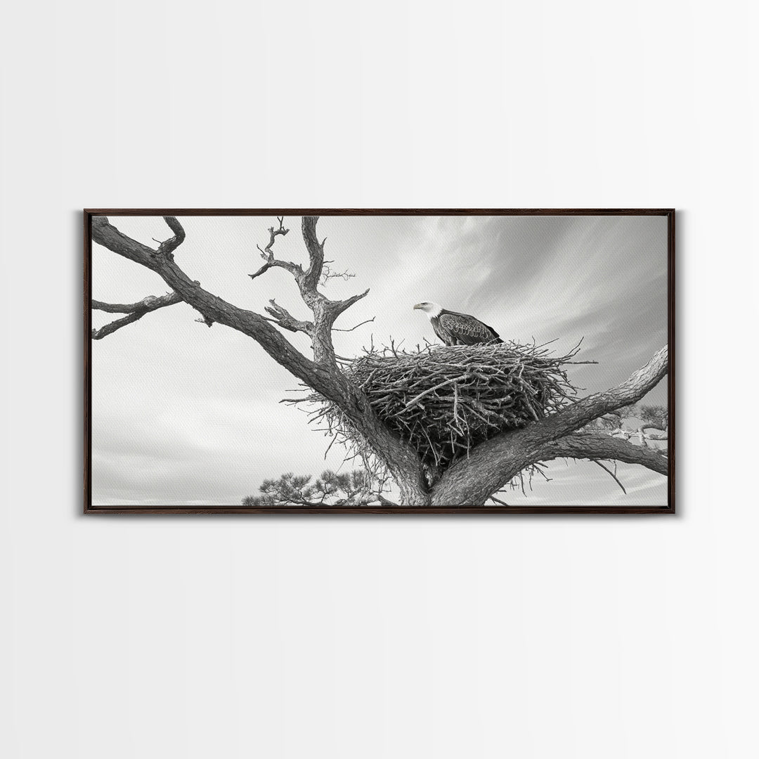 Bald Eagle Nest, Wildlife Nature Art, Rustic Cabin Decor, Framed Canvas Print, Patriotic Office Wall Art, Woodland Photography
