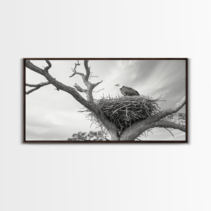 Bald Eagle Nest, Wildlife Nature Art, Rustic Cabin Decor, Framed Canvas Print, Patriotic Office Wall Art, Woodland Photography