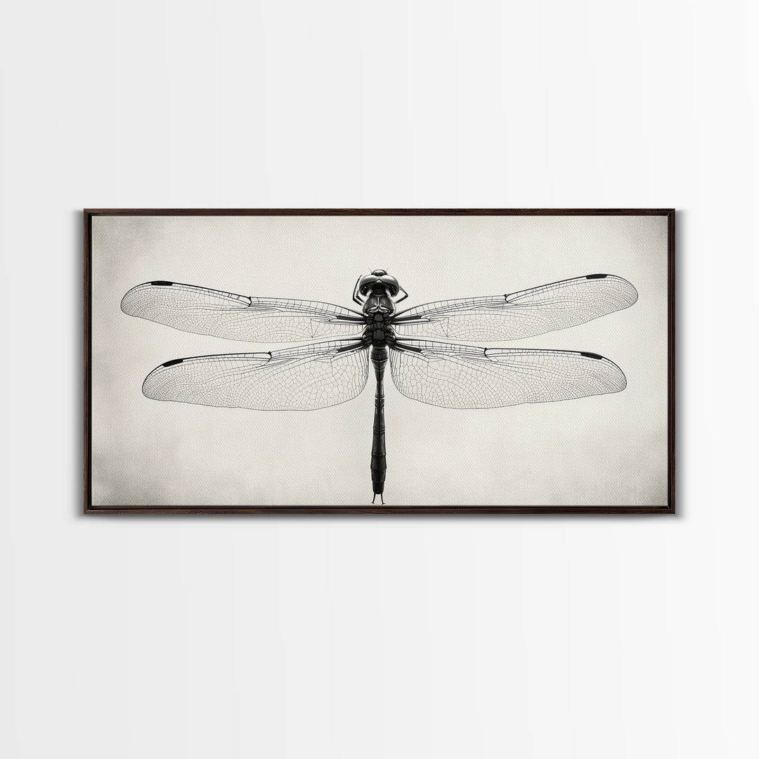 Dragonfly Sketch, Insect Art Print, Botanical Illustration, Minimalist Natural History, Framed Canvas Print, Office or Study Wall Art