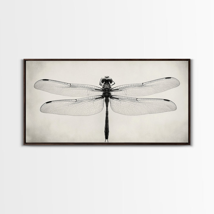 Dragonfly Sketch, Insect Art Print, Botanical Illustration, Minimalist Natural History, Framed Canvas Print, Office or Study Wall Art