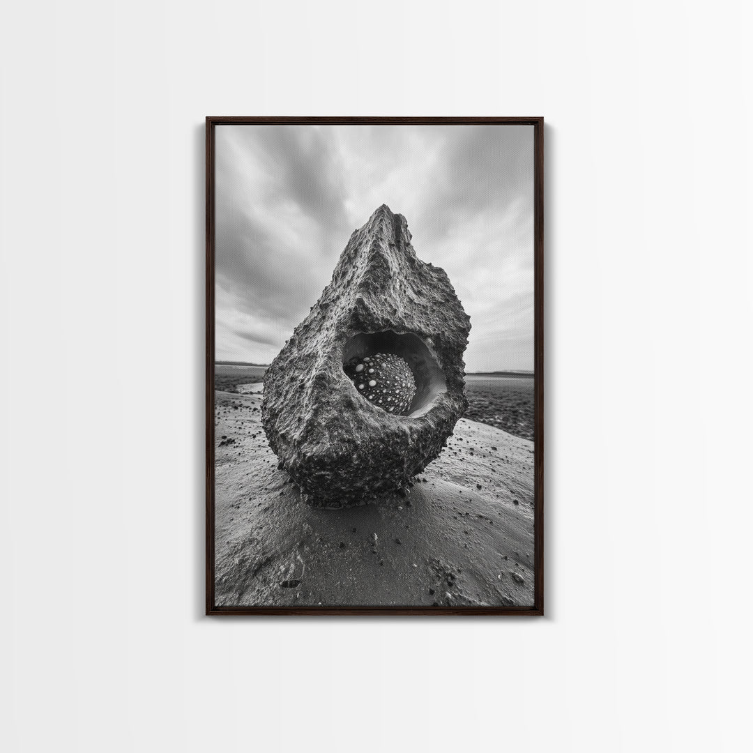 Sea Orb Rock, Coastal Texture, Ocean Shell Art, Framed Canvas Print, Beach House Wall Decor, Abstract Nature, Nautical Art Piece