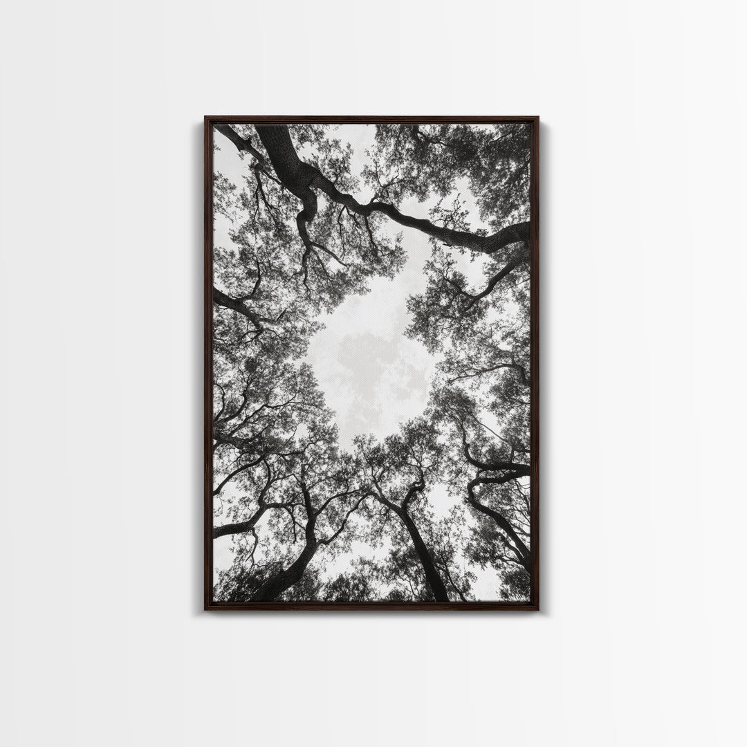 Forest Canopy View, Tree Tops Art, Nature Sky Print, Framed Canvas Print, Bedroom Wall Art, Minimalist Nature, Modern Rustic Decor