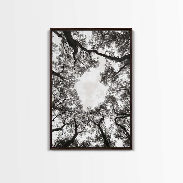 Forest Canopy View, Tree Tops Art, Nature Sky Print, Framed Canvas Print, Bedroom Wall Art, Minimalist Nature, Modern Rustic Decor