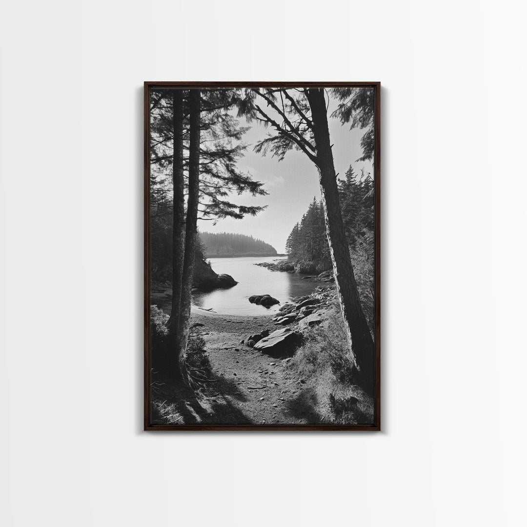Woodland Cove Path, Tranquil Forest Scene, Nature Escape Art, Canvas Print, Cabin Wall Art, Coastal Boho Decor, Black White Landscape