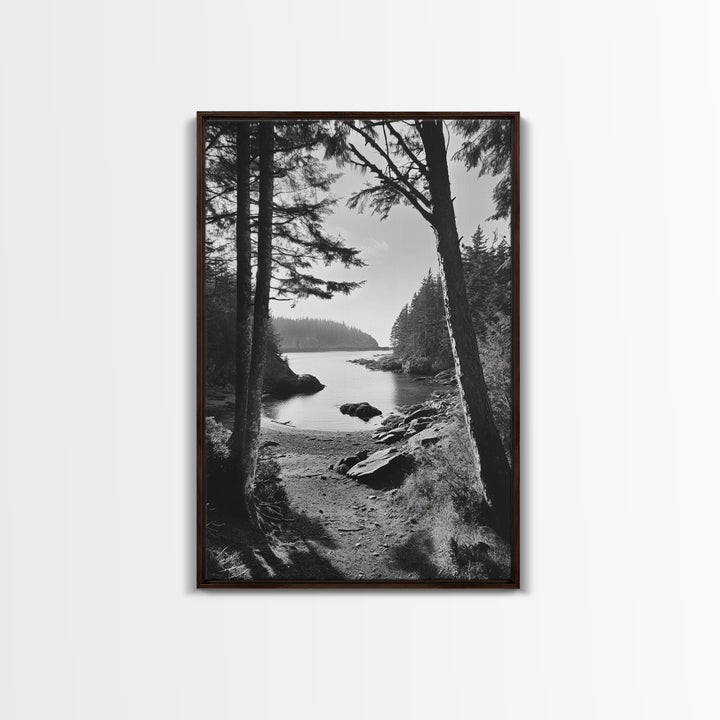 Woodland Cove Path, Tranquil Forest Scene, Nature Escape Art, Canvas Print, Cabin Wall Art, Coastal Boho Decor, Black White Landscape