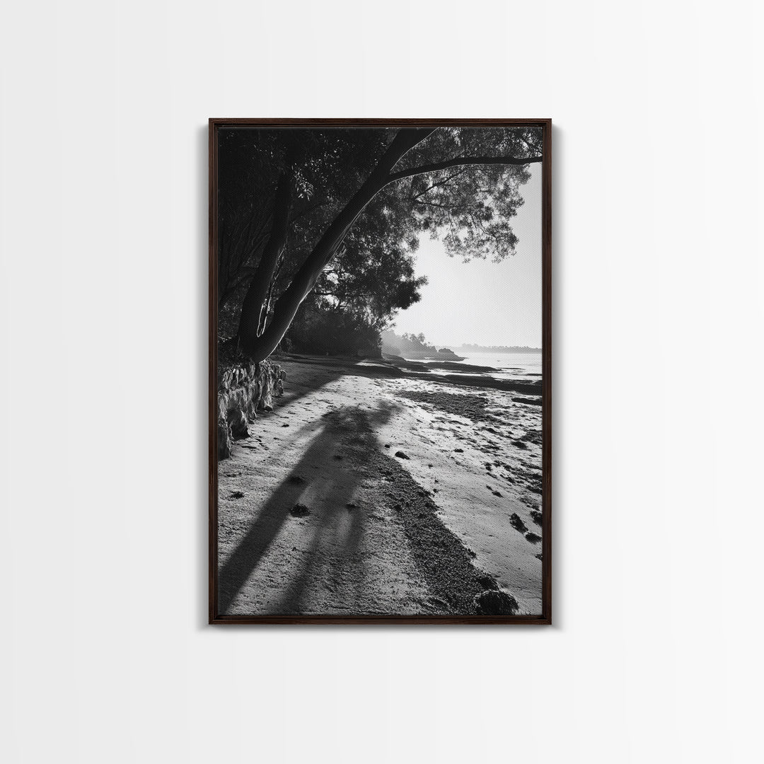 Coastal Shadows Path, Black and White Landscape, Framed Canvas Print, Entryway Art, Calm Nature Scene, Moody Coastal Wall Decor