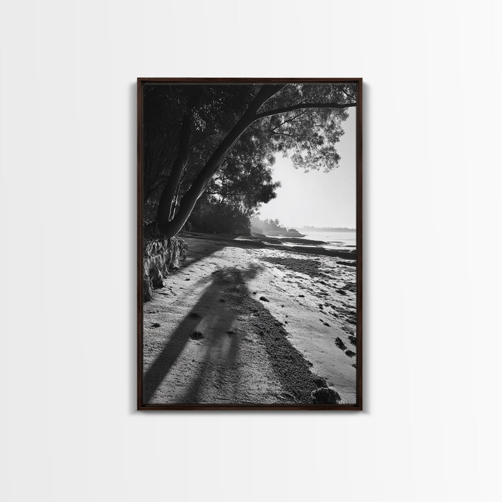 Coastal Shadows Path, Black and White Landscape, Framed Canvas Print, Entryway Art, Calm Nature Scene, Moody Coastal Wall Decor