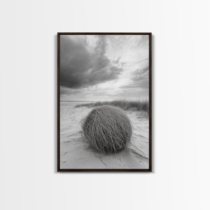 Tumbleweed Dune, Windy Coast, Desert Beach, Canvas Print, Boho Wall Art, Autumn Nature Decor, Minimalist Western Photography