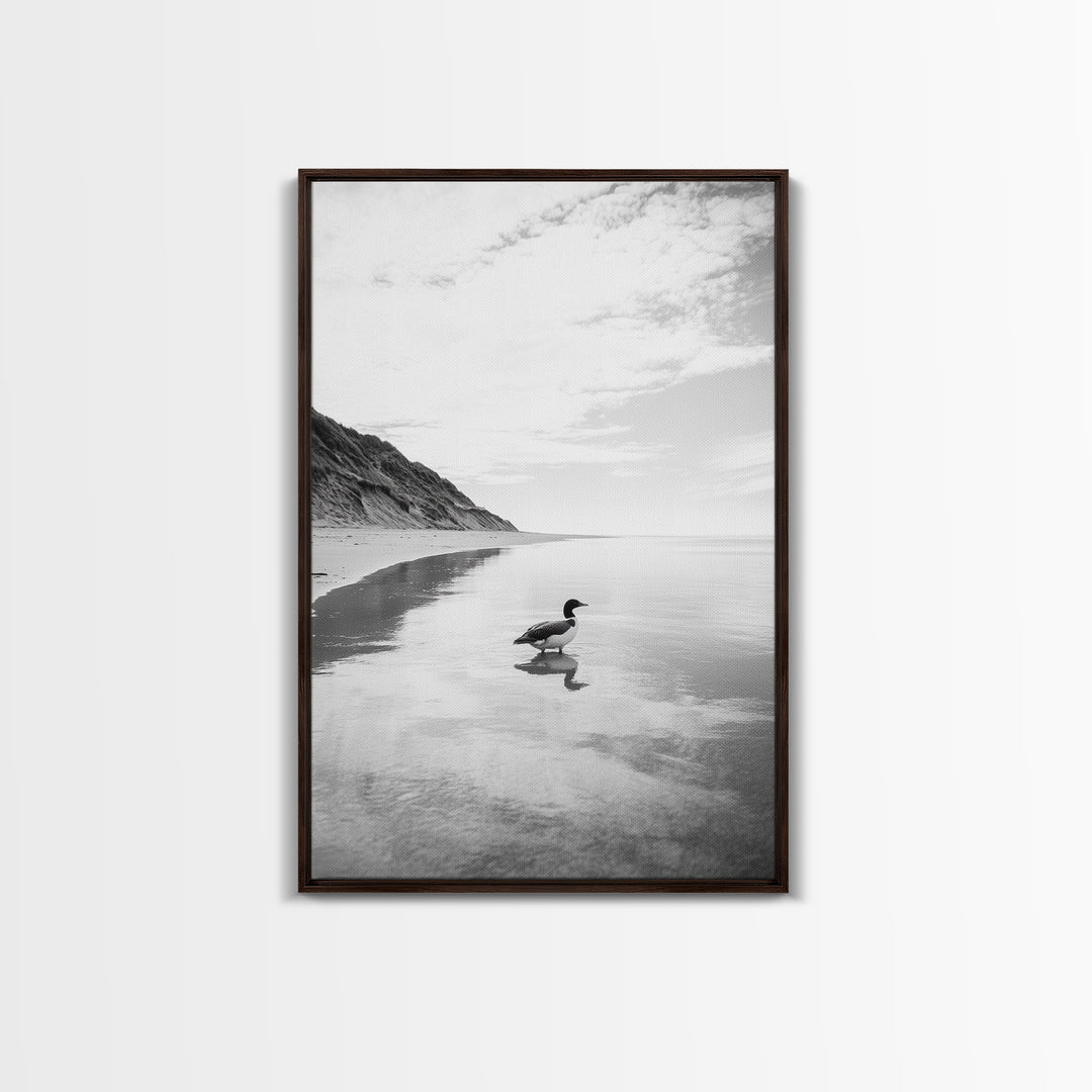 Lone Loon, Quiet Reflection, Coastal Bird, Framed Canvas Print, Nature Wall Art, Bathroom Decor, Serene Black and White Art