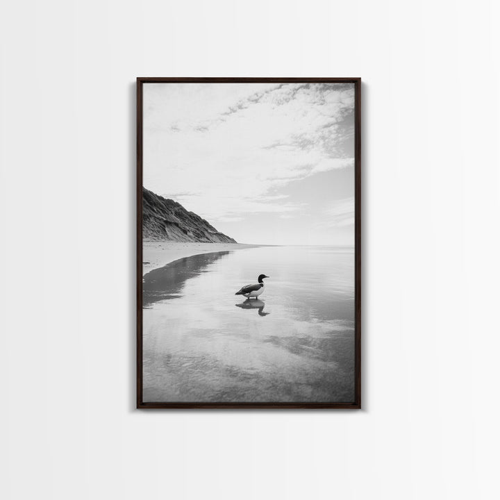 Lone Loon, Quiet Reflection, Coastal Bird, Framed Canvas Print, Nature Wall Art, Bathroom Decor, Serene Black and White Art