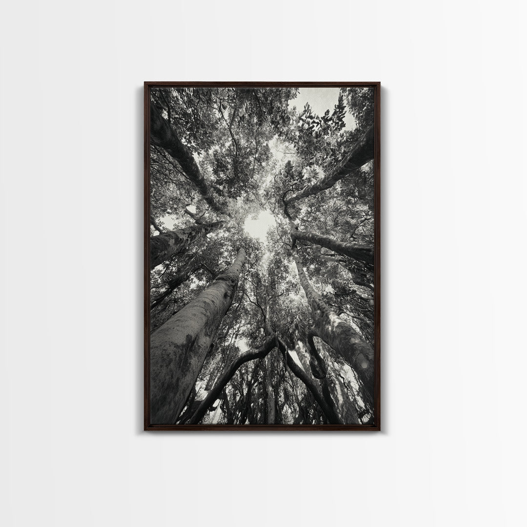 Tree Canopy, Forest Light, Upward View, Canvas Print, Woodland Wall Art, Living Room Decor, Nature Perspective Photography