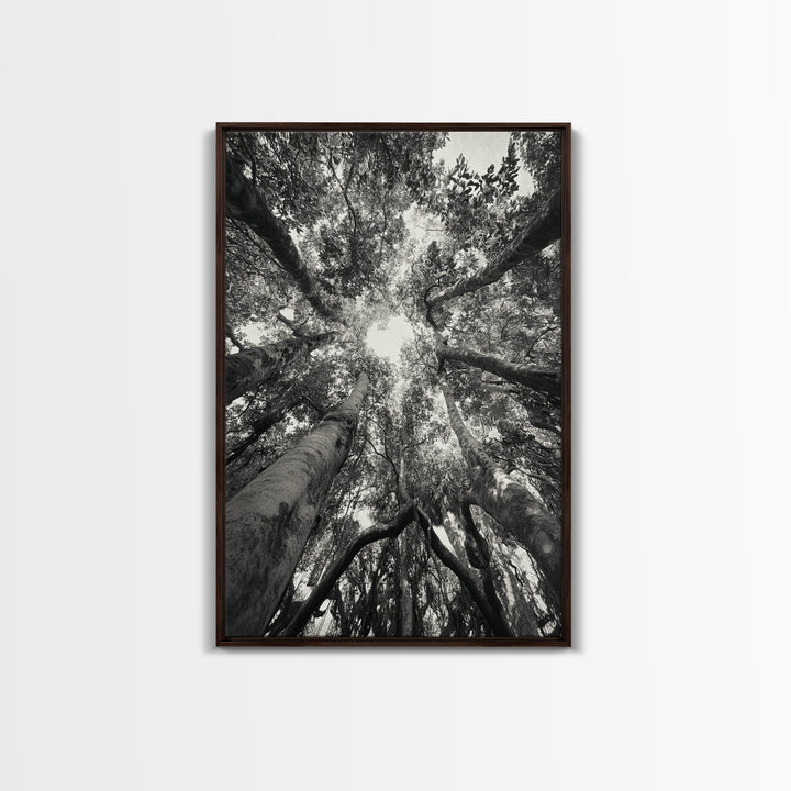 Tree Canopy, Forest Light, Upward View, Canvas Print, Woodland Wall Art, Living Room Decor, Nature Perspective Photography