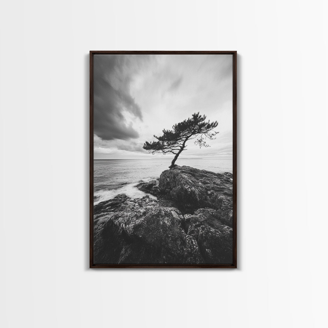 Lone Tree, Cliffside Ocean, Windy Coast Art, Framed Canvas Print, Bedroom Wall Art, Modern Nature Photography, Coastal Minimalist Decor