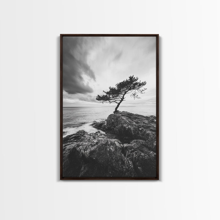 Lone Tree, Cliffside Ocean, Windy Coast Art, Framed Canvas Print, Bedroom Wall Art, Modern Nature Photography, Coastal Minimalist Decor