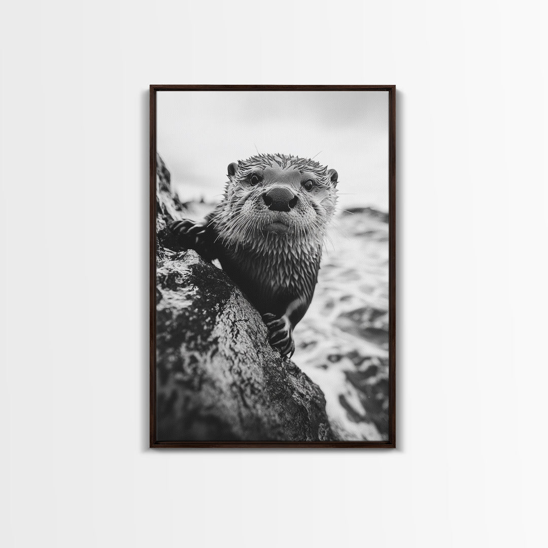 Curious Otter, Coastal Wildlife, Black and White, Animal Photography, Framed Canvas Print, Bathroom Wall Art, Nature Lover Gift
