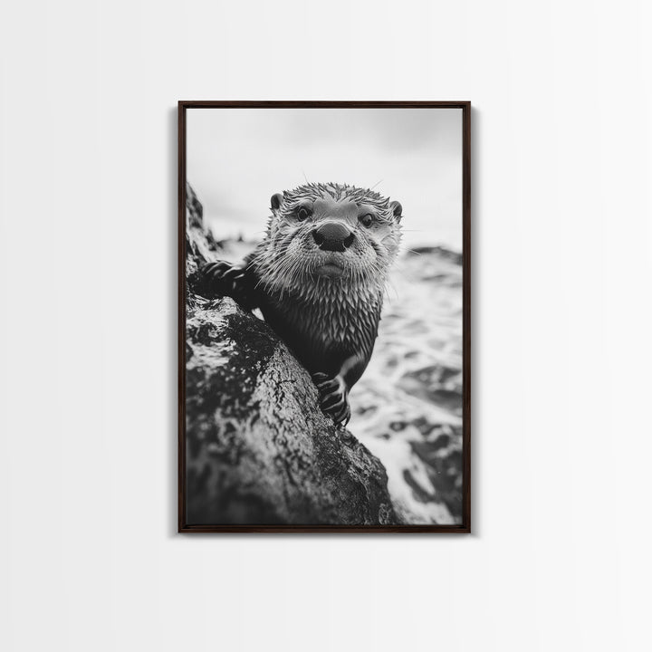 Curious Otter, Coastal Wildlife, Black and White, Animal Photography, Framed Canvas Print, Bathroom Wall Art, Nature Lover Gift
