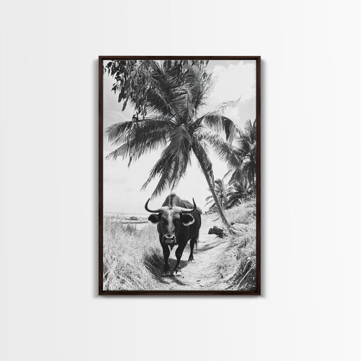 Tropical Bull, Palm Tree, Island Wildlife, Rural Photography, Framed Canvas Print, Kitchen Wall Art, Exotic Boho Decor, farmhouse decor