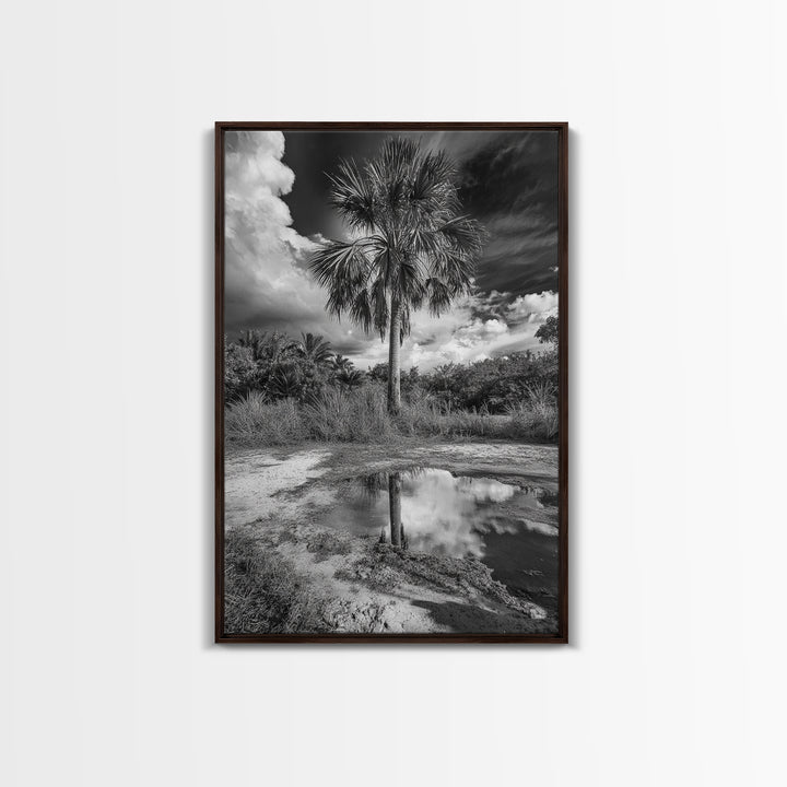 Tropical Palm, Reflected Sky, Nature Tranquility, Canvas Print, boho wall decor, bathroom art, tropical reflection photography