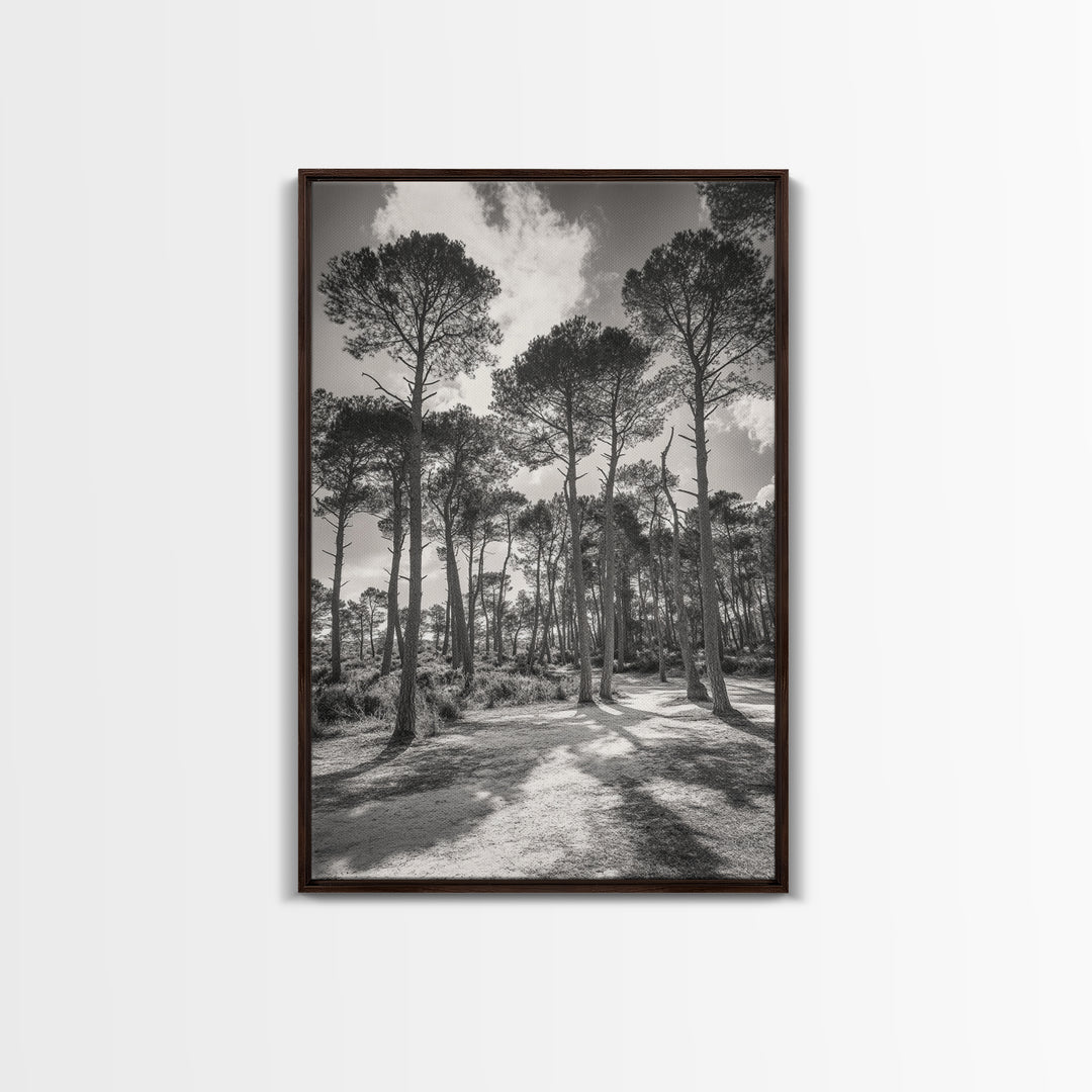 Forest Shadows, Tall Pines, Natural Light, Framed Canvas Print, woodland landscape, rustic cabin decor, autumn forest art