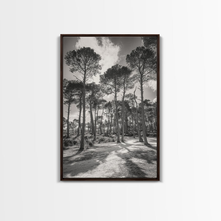 Forest Shadows, Tall Pines, Natural Light, Framed Canvas Print, woodland landscape, rustic cabin decor, autumn forest art