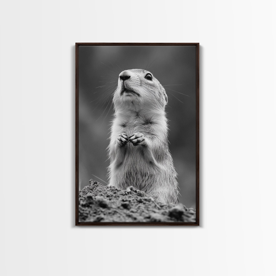 Prairie Dog, Wildlife Watch, Nature Moment, Framed Canvas Print, Whimsical Animal Wall Art, Nursery Decor, Cute Forest Creature