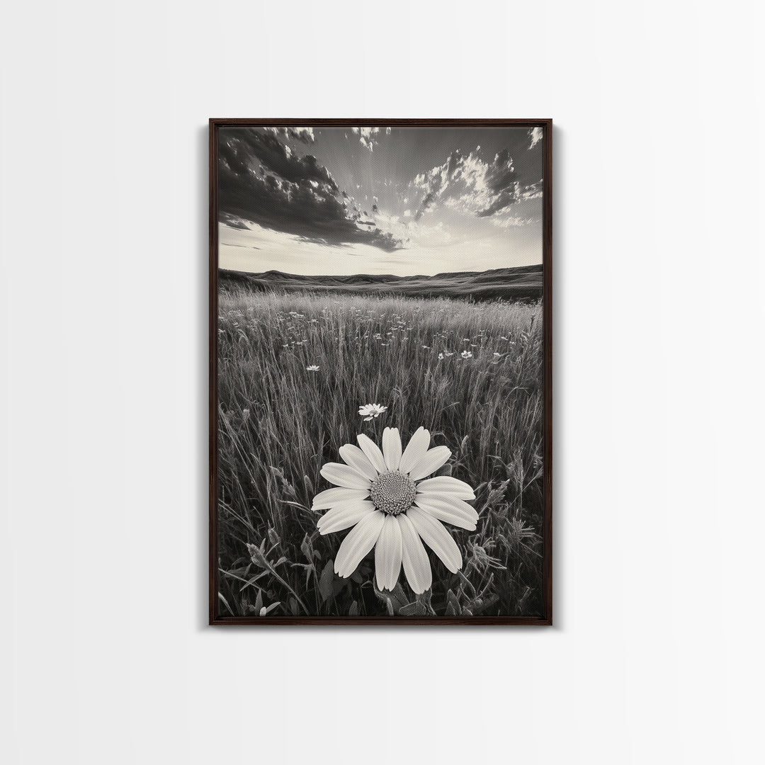 Wildflower Field, Daisy Bloom, Summer Meadow, Framed Canvas Print, Boho Botanical Wall Art, Bedroom Decor, Earthy Nature Photography