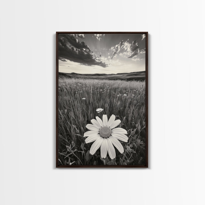 Wildflower Field, Daisy Bloom, Summer Meadow, Framed Canvas Print, Boho Botanical Wall Art, Bedroom Decor, Earthy Nature Photography