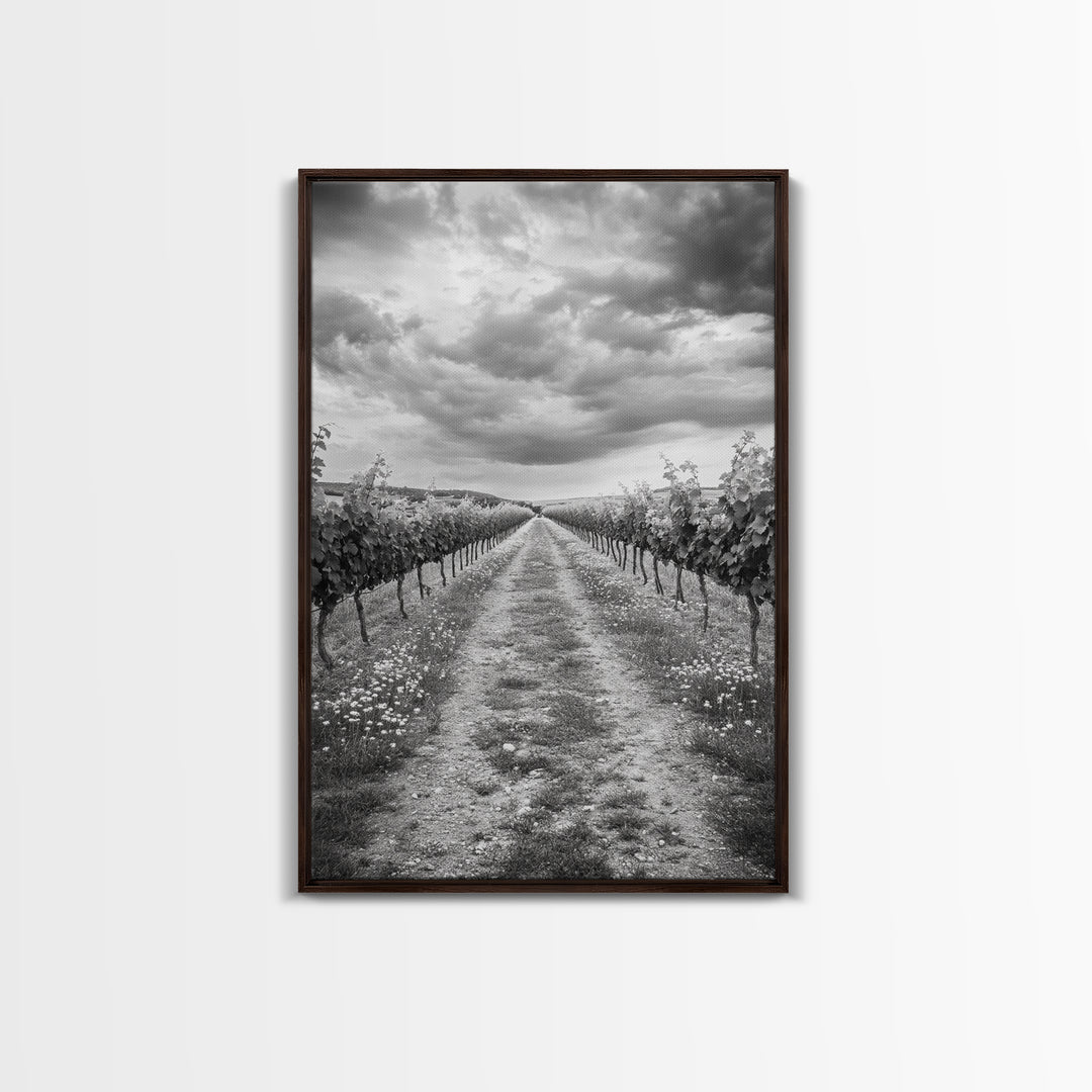 Vineyard Rows, Cloudy Skies, Countryside Path, Canvas Print, Farmhouse Wall Art, Kitchen or Dining Decor, Rustic Landscape Photo