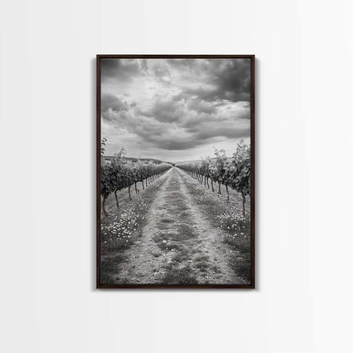Vineyard Rows, Cloudy Skies, Countryside Path, Canvas Print, Farmhouse Wall Art, Kitchen or Dining Decor, Rustic Landscape Photo
