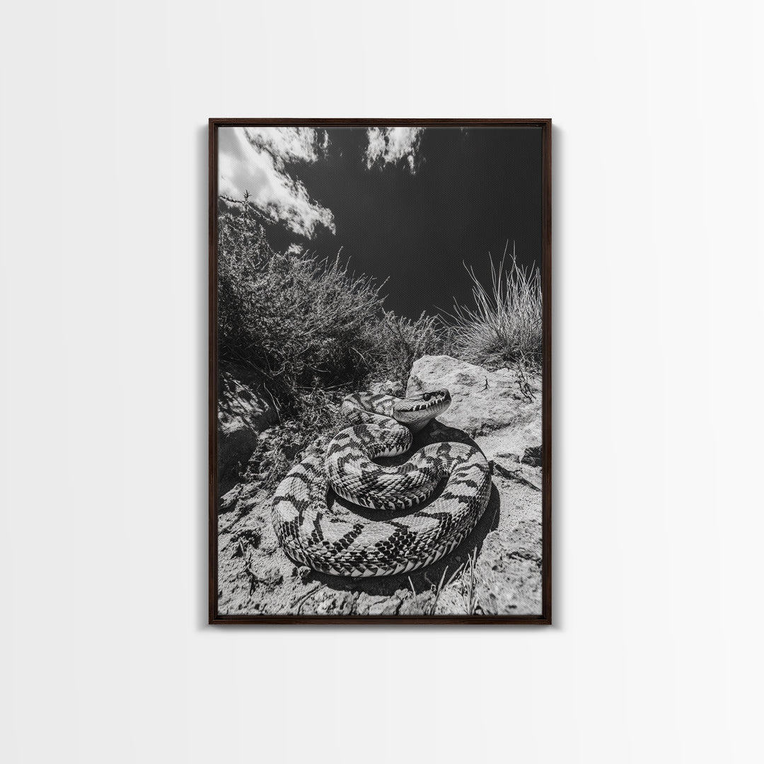 Coiled Snake, Desert Predator, Wild Reptile, Framed Canvas Print, Nature Wildlife Art, Den or Office Decor, Monochrome Animal Photography