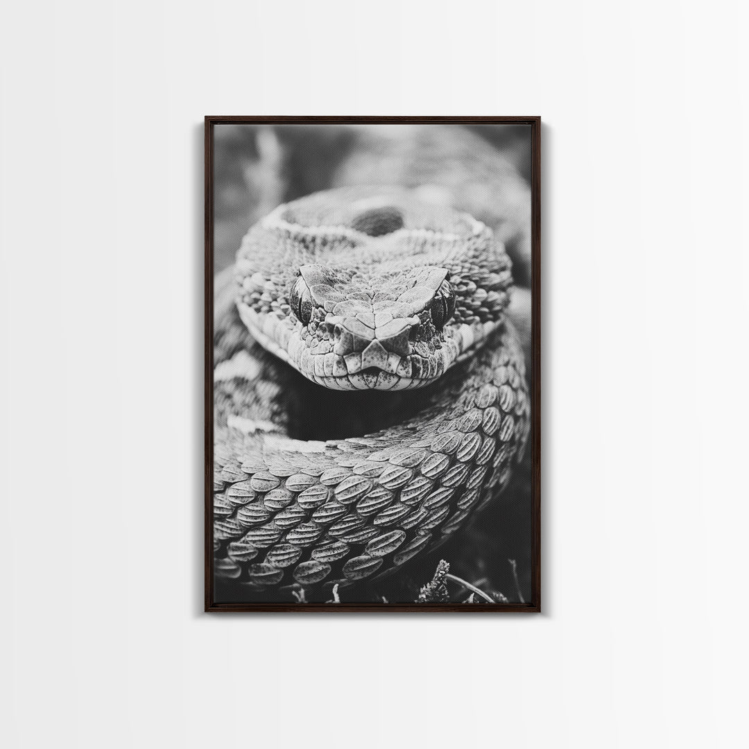 Rattlesnake Face, Coiled Closeup, Venomous Gaze, Canvas Print, Macro Wildlife Wall Art, Reptile Decor, Intense Black White Photography